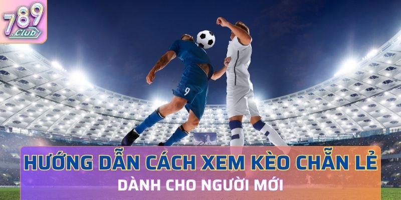 Cách xem kèo chẵn lẻ đơn giản dễ hiểu cho người mớiCách xem kèo chẵn lẻ đơn giản dễ hiểu cho người mới