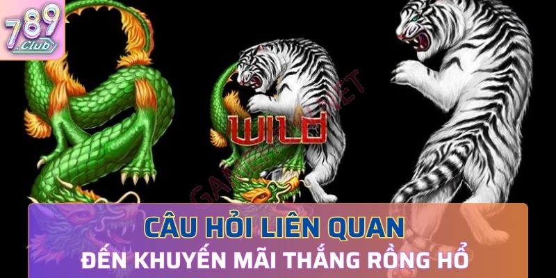 Câu hỏi liên quan đến khuyến mãi thắng rồng hổ 