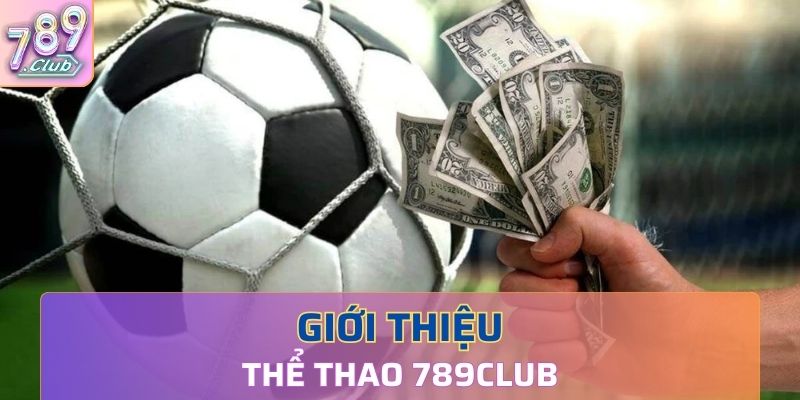 Giới thiệu thông tin cổng game thể thao 789Club