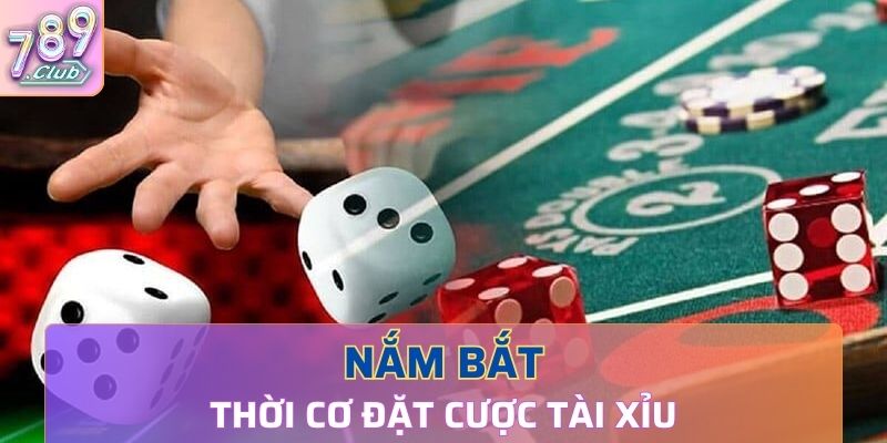 Biết điểm dừng, nắm bắt thời cơ đặt cược 