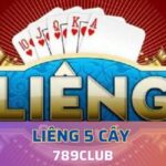 thông tin về tựa game Liêng 5 cây