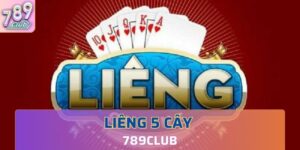 thông tin về tựa game Liêng 5 cây